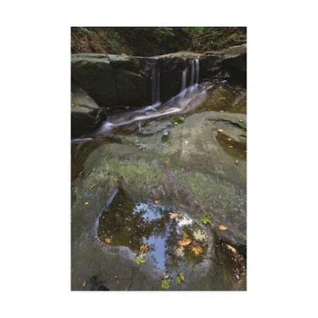 Kurt Shaffer 'Reflecting By The Waterfall' Canvas Art,30x47